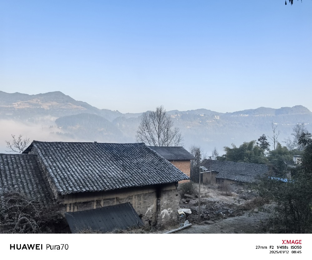 2025年1月12日，老家的清晨